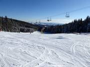 Piste facile Schwaigwiese n° 1