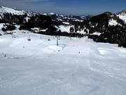 Piste FIS