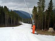 Piste facile n° 14 Lúčky