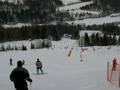 Pistes Kranjska Gora