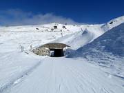 Comeback Trail avec tunnel de ski