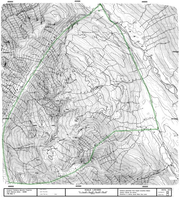 White Grizzly Cat Skiing