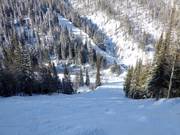 Piste de bosses difficile à l'arrière