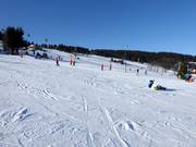 Des pistes faciles et larges à Zieleniec