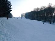 Piste intermédiaire au téléski Hirtenteich