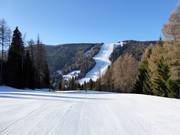Vue sur la piste Martinella Nord n° 10
