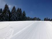 Des pistes parfaitement préparées