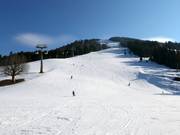Fin de la descente vers la vallée