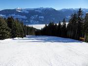 Descente vers la vallée jusqu'à Fügen