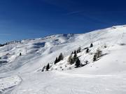 Vue sur les larges pistes du domaine skiable Rosskopf