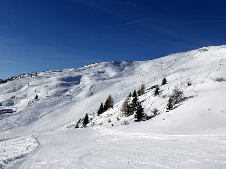 Sterzing-Ratschings-Gossensass: Taille des domaines skiables – Taille Monte Cavallo (Rosskopf) – Vipiteno (Sterzing)