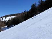 Piste difficile Arb