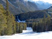 Piste intermédiaire Ray's Run