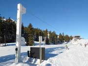 Telecorde III - Télécorde/remonte-pente à câbles bas