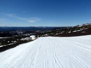 Piste facile Piste Bøseterveien n° 26