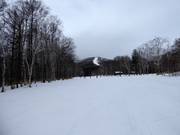 Piste facile South Road