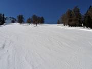 Descente jusqu'à Les Collons