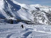 Neige poudreuse dans la vallée de Gad