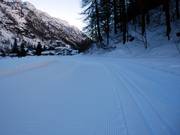 Les pistes de ski de fond sont tracées pour la technique classique et le skating.