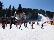 Cours de ski à l'hôtel Rila