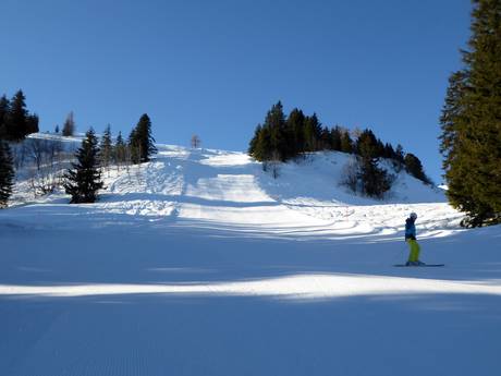 Domaines skiables pour skieurs confirmés et freeriders Vallée du Rhin – Skieurs confirmés, freeriders Pizol – Bad Ragaz/Wangs