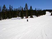 Zone d'entraînement directement à côté des parkings