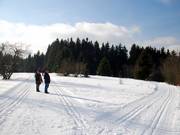 Altastenberg est situé sur la Rothaarloipe.