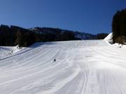 Optimal pour les jeunes coureurs