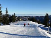 Descente de l'alpage