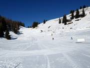 Piste facile n° 6 Paradiso