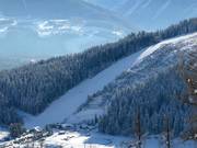 Descente nord difficile Rittisberg