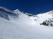 The Bowl au Powder Seeker 6