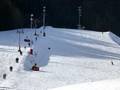 Pistes Oberaudorf – Hocheck