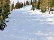 Piste difficile Mesclun dans le secteur Méné