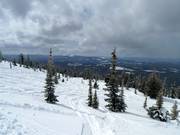 Pistes de poudreuse dans la Sun Rype Bowl