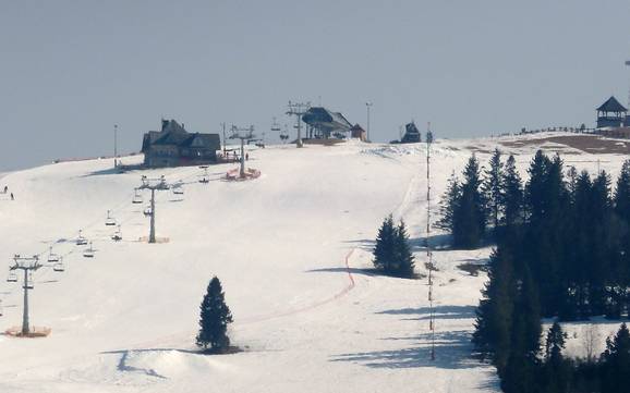 Skier près de Czarna Góra
