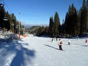 Piste pour débutants Biela Pút