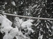 Bon plan pour les enfants : 