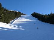 Piste B20 Bürgerwald (noire)