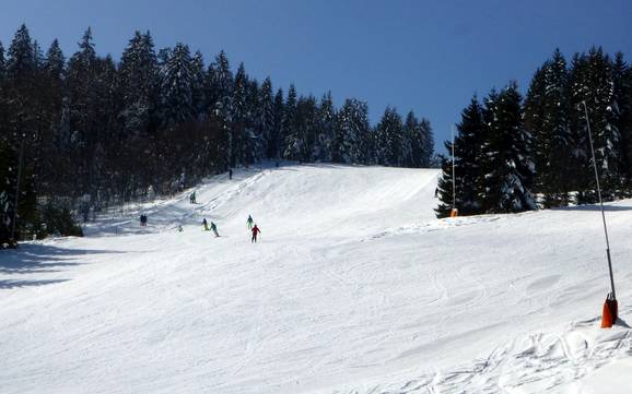 La plus haute gare aval dans la Forêt-Noire – domaine skiable Haldenköpfle