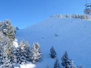 Zone freeride au télésiège Weinbergbahn