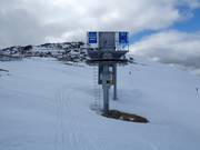 Olympic T-Bar - Téléski à pioches