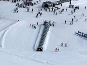 Alfombra El Bosque - Tapis roulant/Moving Carpet recouvert d’une galerie