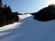 Itinéraire à ski vers la vallée jusqu'à Kuznice