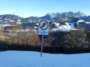 Protection de la zone de reboisement