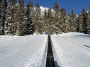 Tapis roulant Thaneller