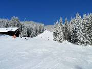 Descente vallée n° 9a Zwieselalm