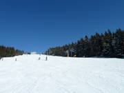 Descente à ski au Hundseck