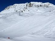 Les premières traces sur les pistes