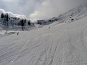 Piste facile Trappe